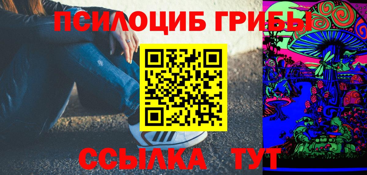 Ногинск  Псилоцибиновые грибы MAGIC MUSHROOMS  Вход с VPN 