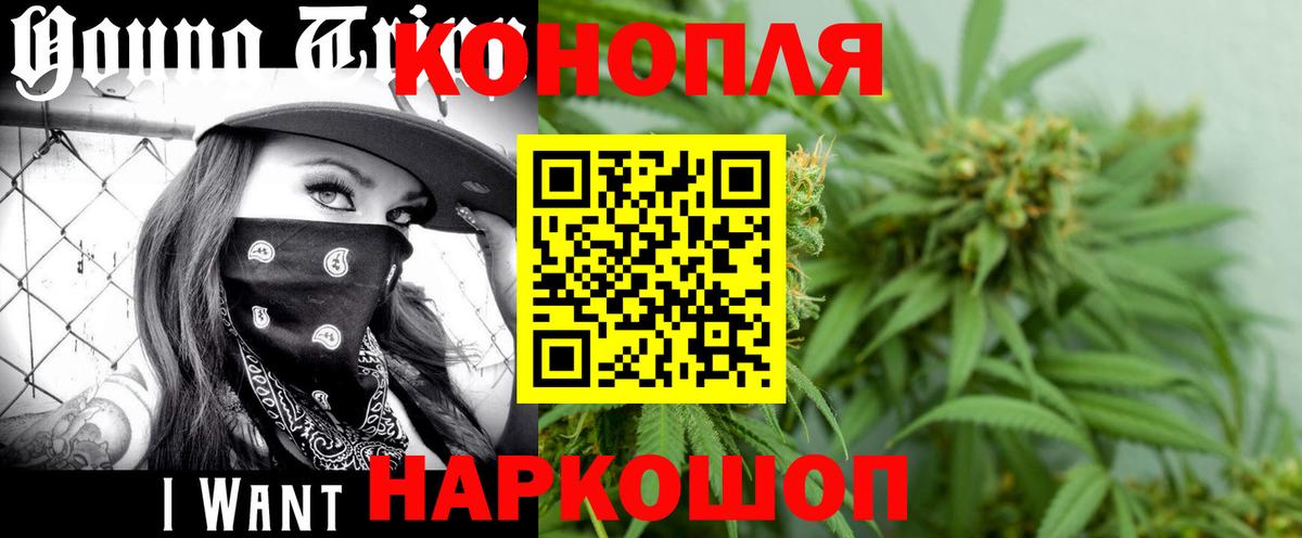 Шишки марихуана сатива Ногинск